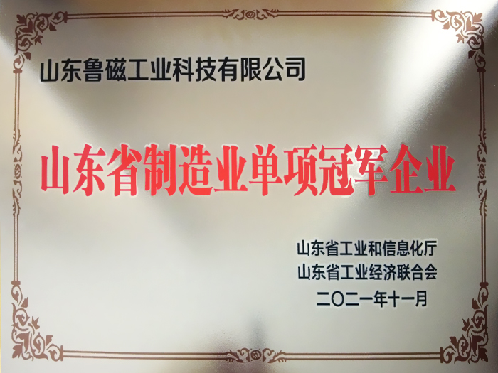山东省制造业单项冠军企业证书