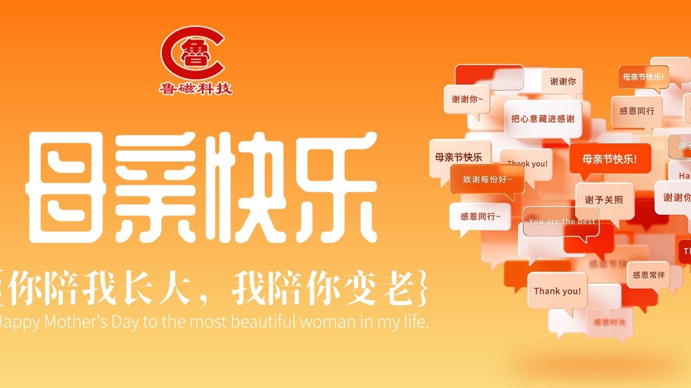 山东鲁磁